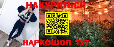 spice Славгород