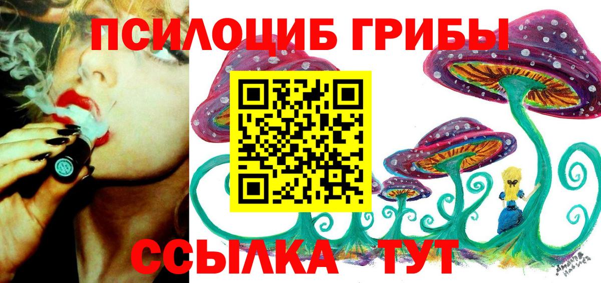 Псилоцибиновые грибы GOLDEN TEACHER  Вход с VPN  Псилоцибиновые грибы мухоморы  Нягань 